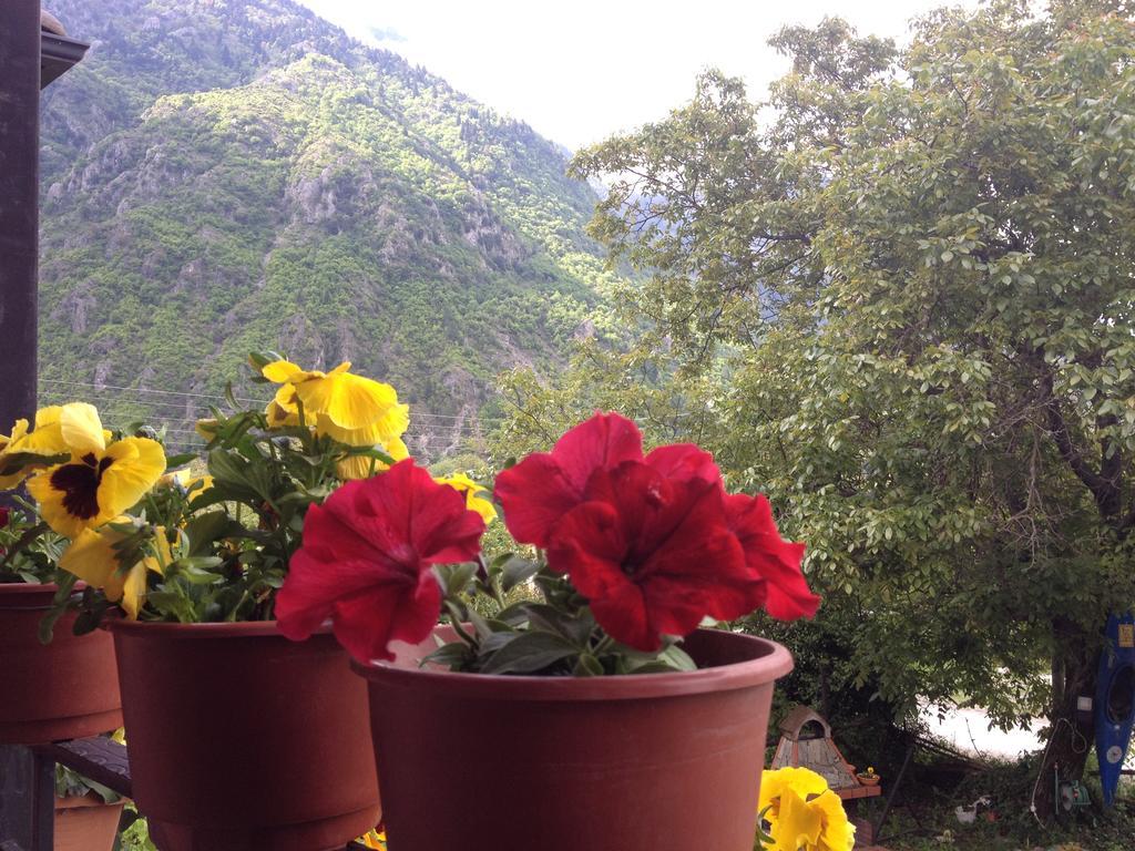 Artemis Apartments Konitsa Zimmer foto